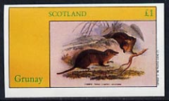Grunay 1982 Rodents (Opossum) imperf  souvenir sheet (£1 value) unmounted mint, stamps on animals     rodents