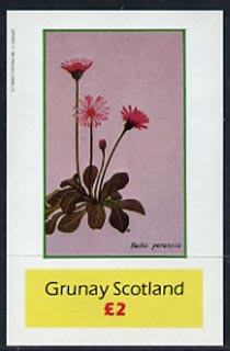 Grunay 1982 Flowers #02 imperf deluxe sheet (2 value Bellis perennis) unmounted mint