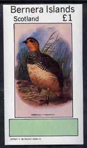 Bernera 1982 Partridge imperf souvenir sheet (£1 value) unmounted mint, stamps on birds     game    partridge
