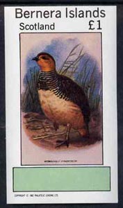 Bernera 1982 Partridge imperf souvenir sheet (Â£1 value) unmounted mint, stamps on , stamps on  stamps on birds     game    partridge