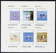 Staffa 1982 Birds #44 (Gull, Swan, Avocet, etc) imperf set of 6 values (15p to 75p) unmounted mint, stamps on birds      gull    swan    goose     avocet    gannet    