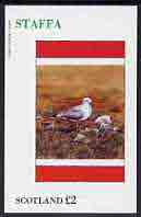 Staffa 1982 Birds #44 (Common Gull) imperf deluxe sheet (£2 value) unmounted mint, stamps on birds      gull    