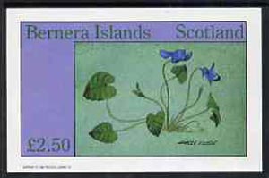 Bernera 1982 Flowers #14 (Sweet Violet) imperf  deluxe sheet (£2.50 value) unmounted mint, stamps on flowers, stamps on violas