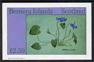 Bernera 1982 Flowers #14 (Sweet Violet) imperf  deluxe sheet (Â£2.50 value) unmounted mint, stamps on flowers, stamps on violas