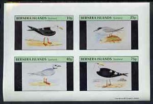 Bernera 1981 Gulls imperf set of 4 values complete (10p to 75p) unmounted mint, stamps on , stamps on  stamps on birds   gulls