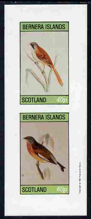 Bernera 1981 Birds #01 imperf  set of 2 values complete (40p & 60p) unmounted mint, stamps on birds