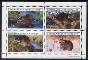 Bernera 1981 Racoons perf  set of 4 values complete (10p to 75p) unmounted mint, stamps on , stamps on  stamps on animals    racoons  