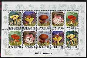 North Korea 1991 Fungi sheetlet containing 2 complete sets of 5 values very fine cto used, SG N3040-44, stamps on fungi