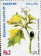 Pakistan 1998 Medicinal Plants 2R (Thornapple, Jimson Weed) unmounted mint SG 1037, stamps on medical    flowers, stamps on medicinal plants