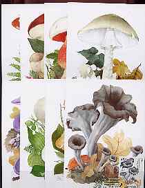 Rumania 1994 Edible and Poisonous Fungi the set of 8 maximum-cards each with the appropriate stamps and each with special illustrated mushroom cancellation, stamps on , stamps on  stamps on fungi