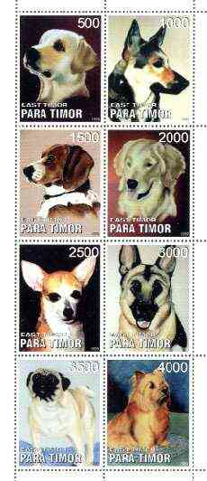 Timor (East) 1999 Dogs perf sheetlet containing complete set of 8 unmounted mint, stamps on , stamps on  stamps on animals, stamps on dogs, stamps on  stamps on  gsd , stamps on  stamps on labrador, stamps on retriever, stamps on chihauhau, stamps on pug, stamps on terrier