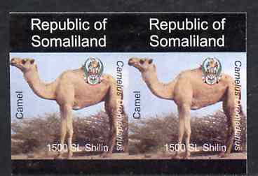 Somaliland 1997 Camel 1,500 SL (from Animal def set) unmounted mint imperf pair, stamps on , stamps on  stamps on animals      camel