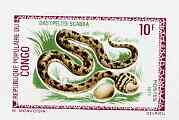 Congo 1971 Egg Eating Snake 10f imperf deluxe sheet on sunken card in full issued colours, as SG 284, stamps on , stamps on  stamps on reptiles    snakes    animals, stamps on  stamps on snake, stamps on  stamps on snakes, stamps on  stamps on 