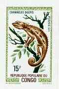 Congo 1971 Chameleon 15f imperf deluxe sheet on sunken card in full issued colours, as SG 285, stamps on , stamps on  stamps on reptiles    animals    chameleons