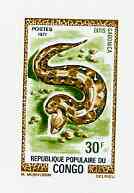 Congo 1971 Gaboon Viper 30f imperf deluxe sheet on sunken card in full issued colours, as SG 288, stamps on , stamps on  stamps on reptiles    snakes    animals, stamps on  stamps on snake, stamps on  stamps on snakes, stamps on  stamps on 