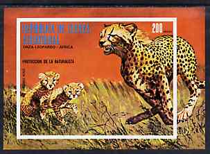 Equatorial Guinea 1996? Leopard 200ek imperf souvenir sheet unmounted mint, stamps on , stamps on  stamps on animals      leopard     cats