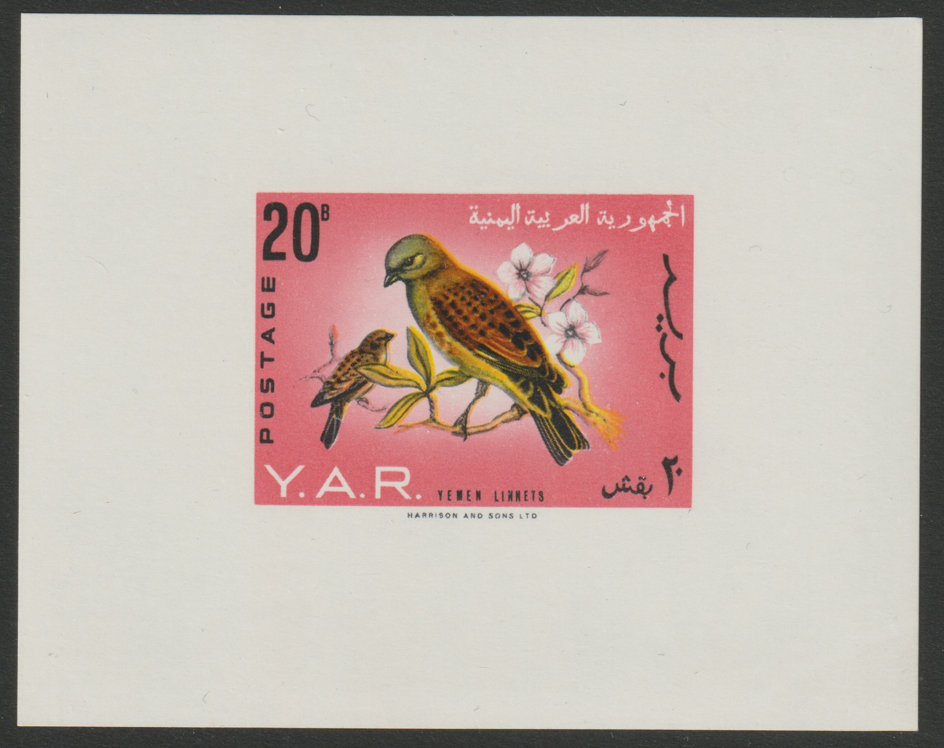 Yemen - Republic 1965 Birds imperf m/sheet unmounted mint, SG MS 328a, Mi BL 34, stamps on , stamps on  stamps on birds