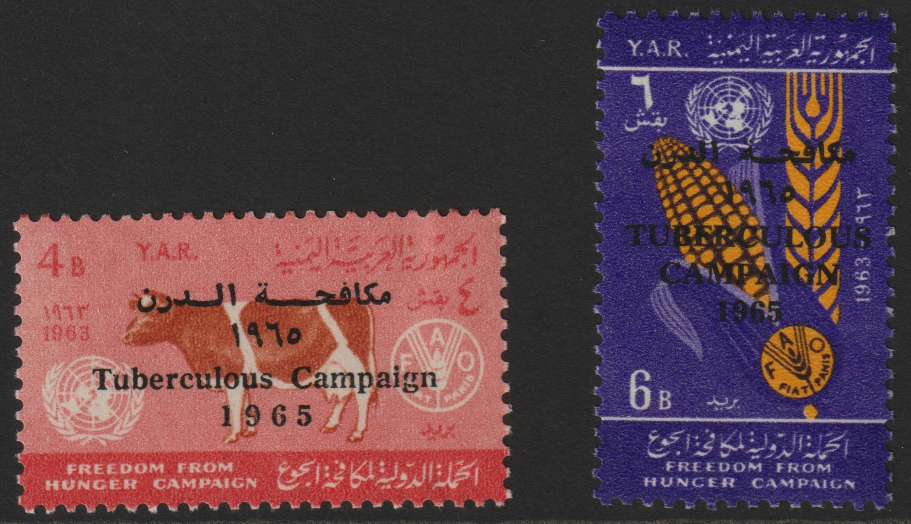 Yemen - Republic 1966 Anti TB perf set of 2 unmounted mint, SG 356-57, Mi 449-50, stamps on , stamps on  stamps on medical    tb    diseases