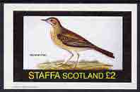 Staffa 1982 Birds #46 (Richard's Pipit) imperf deluxe sheet (£2 value) unmounted mint, stamps on birds        pipit