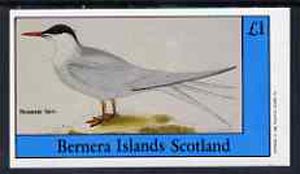 Bernera 1982 Sea Birds #02 (Roseate Tern) imperf souvenir sheet (£1 value) unmounted mint, stamps on birds        terns