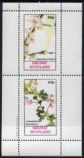 Grunay 1982 Flowers #03 (Calycanthus & Lasiopetalum) unmounted mint perf set of 2 (40p & 60p), stamps on flowers