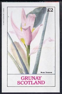 Grunay 1982 Flowers #03 (Musa) unmounted mint imperf deluxe sheet (£2 value), stamps on flowers