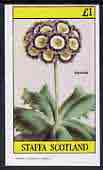 Staffa 1982 Auricula imperf souvenir sheet (Â£1 value) unmounted mint, stamps on flowers