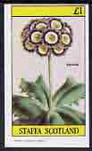Staffa 1982 Auricula imperf souvenir sheet (£1 value) unmounted mint, stamps on flowers