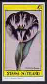 Staffa 1982 Flowers #16 (Chellaston Beauty) imperf  souvenir sheet (£1 value) unmounted mint, stamps on flowers