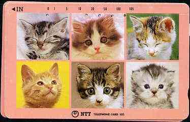 Telephone Card - Japan 105 units phone card showing Six Portraits of Cats (card dated 15.9.1991), stamps on cats