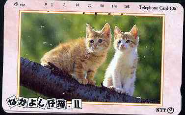 Telephone Card - Japan 105 units phone card showing Two Cats on Branch (card dated 15.6.1990), stamps on cats    