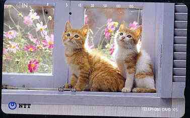 Telephone Card - Japan 105 units phone card showing Two Kittens on Window Cill (card dated 1.4.1992), stamps on cats    