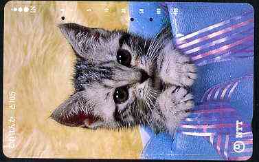 Telephone Card - Japan 105 units phone card showing Kitten in Festive Box (vert) (card dated 15.7.1990), stamps on cats