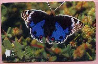 Telephone Card -Oman 3r phone card showing Blue Pansy #1 Butterfly, stamps on butterflies