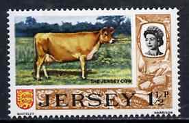 Jersey 1970-74 Jersey Cow 1.5p from Decimal Definitive set unmounted mint, SG 44*, stamps on , stamps on  stamps on cows, stamps on  stamps on bovine