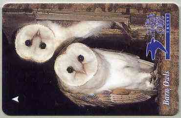 Telephone Card - Jersey 2 phone card showing Barn Owls (The Hawk & Owl Trust), stamps on birds, stamps on birds of prey, stamps on owls