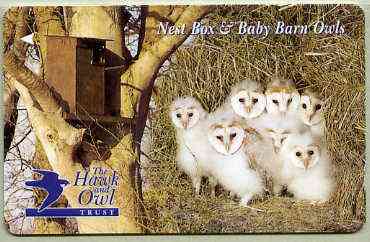 Telephone Card - Jersey 2 phone card showing Nest Box & Baby Barn Owls (The Hawk & Owl Trust), stamps on birds, stamps on birds of prey, stamps on owls