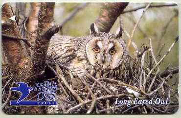 Telephone Card - Jersey 2 phone card showing Long Eared Owl (The Hawk & Owl Trust), stamps on , stamps on  stamps on birds, stamps on  stamps on birds of prey, stamps on  stamps on owls
