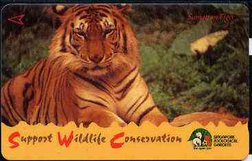 Telephone Card - Singapore $10 phone card showing Sumatran Tiger (Wildlife Conservation Series)