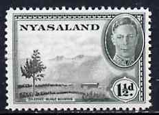 Nyasaland 1945 Tea Estate 1.5d unmounted mint from KG6 def set, SG 146*, stamps on , stamps on  kg6 , stamps on tea , stamps on drink