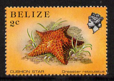 Belize 1984-88 Cushion Star 2c def unmounted mint perf 13.5 SG 767a, stamps on marine-life