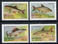 Belarus 1997 Fishes set of 4 unmounted mint SG 246-49*, stamps on , stamps on  stamps on fish