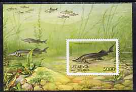 Belarus 1997 Fishes unmounted mint imperf m/sheet SG MS 250, stamps on , stamps on  stamps on fish