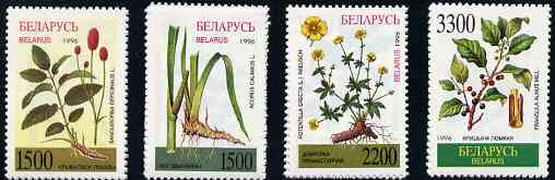 Belarus 1996 Medicinal Plants unmounted mint set of 4, SG 192-95*, stamps on , stamps on  stamps on flowers     medical, stamps on medicinal plants