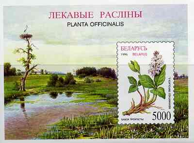 Belarus 1996 Medicinal Plants unmounted mint imperf m/sheet, SG MS 196, stamps on flowers     medical, stamps on medicinal plants