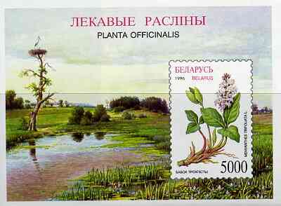 Belarus 1996 Medicinal Plants unmounted mint imperf m/sheet, SG MS 196, stamps on , stamps on  stamps on flowers     medical, stamps on medicinal plants