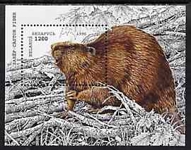 Belarus 1996 Beaver unmounted mint m/sheet, stamps on beaver    amimals     rodent