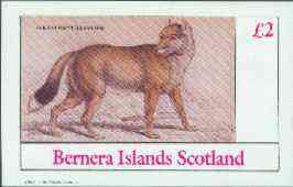 Bernera 1982 Wild Dogs (Falklands Aguara Dog) imperf deluxe sheet (£2 value) unmounted mint, stamps on animals   fox    dogs, stamps on  fox , stamps on foxes, stamps on  