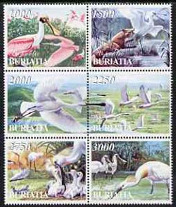 Buriatia Republic 1998 Birds perf set of 6 values complete unmounted mint, stamps on , stamps on  stamps on birds