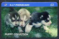 Telephone Card - DIT 'Puppy Collection' 2 phone card showing three puppies, stamps on dogs